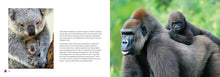 Sex and the Animals - Interior 6