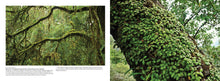 The Wild - Interior 6