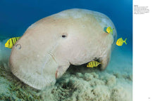 Endangered Animals - Interior 6
