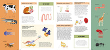 Foldout Anatomy - Interior 7