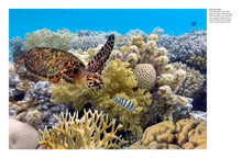 Reefs - Interior 7