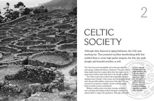 Celts - Interior 7