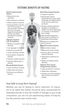 The Stem Cell Activation Diet - Interior 7