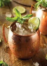 The Hard Seltzer Cocktail Book - Interior 7