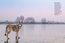 Wolves - Interior 7