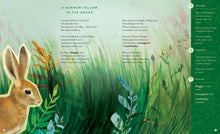 The Illustrated Emily Dickinson - Interior 7