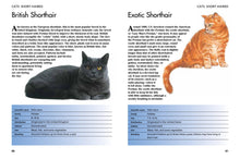 Pets - Interior 7