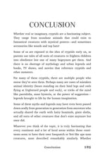 The Big Book of Cryptid Trivia - Interior 8
