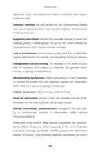Jump Start Autophagy - Interior 8