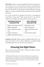African American Herbalism - Interior 8