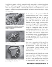 The Metal Detecting Bible, 2nd Edition - Interior 8