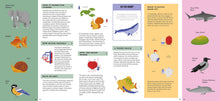 Foldout Anatomy - Interior 9