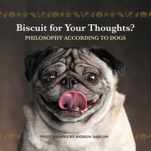 Biscuit for Your Thoughts?